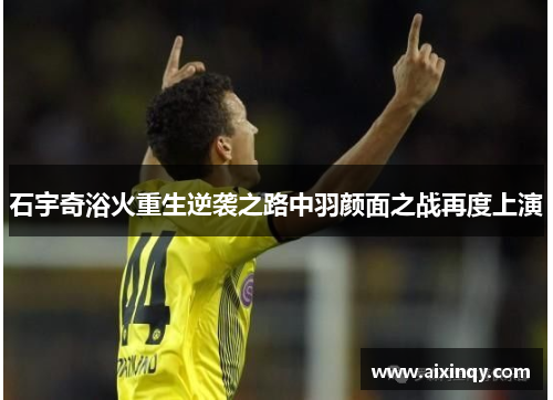 石宇奇浴火重生逆袭之路中羽颜面之战再度上演