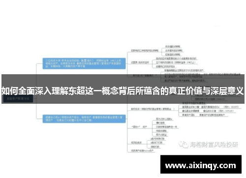 如何全面深入理解东超这一概念背后所蕴含的真正价值与深层意义